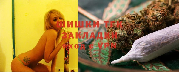 шишки Армянск