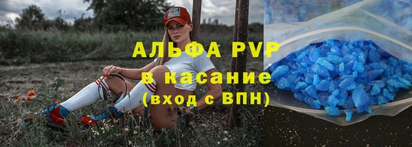 шишки Армянск