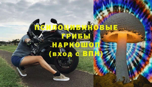 твердый Аркадак