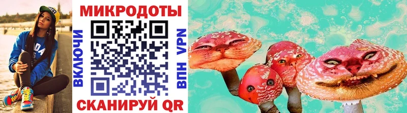 как найти наркотики  Пошехонье  Псилоцибиновые грибы мухоморы 